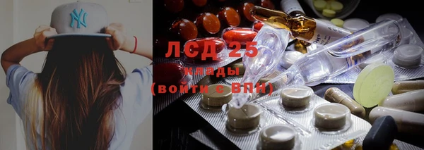 гидра Заволжск