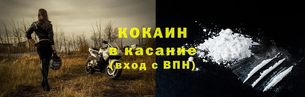 твердый Заводоуковск
