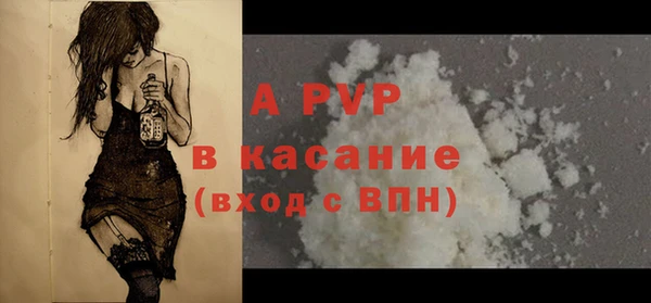 твердый Заводоуковск