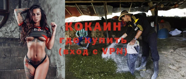 твердый Заводоуковск