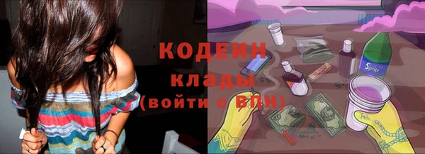 твердый Заводоуковск