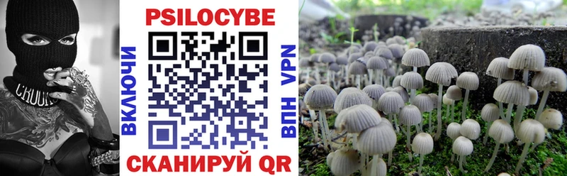 Псилоцибиновые грибы Psilocybe  Купить где  Обь 