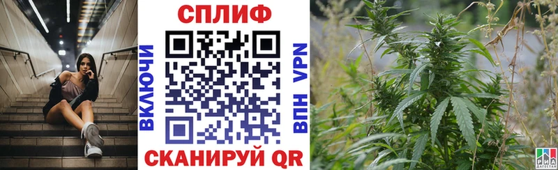 МАРИХУАНА SATIVA & INDICA  Купить закладки  Обь 